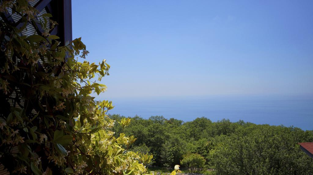 Apartmani Zona Ilha Sveti Stefan Exterior foto